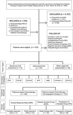 Clinical Evaluation of Serum Tumor Markers in Patients With Advanced-Stage Non-Small Cell Lung Cancer Treated With Palliative Chemotherapy in China